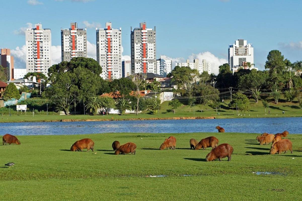 Predio Fantastico No Bairro Mais Requisitado De กูรีตีบา ภายนอก รูปภาพ